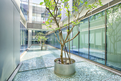 SQUARE 2 (D11), Retail #447407621